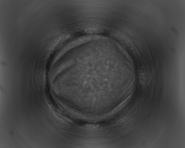 X0000090490690200708031147