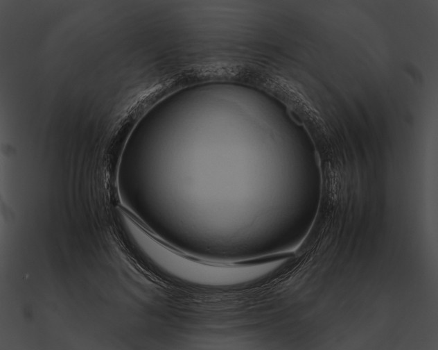 X0000090490692200708031147