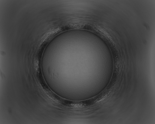 X0000090490693200708031147