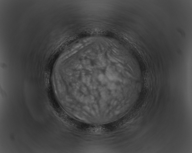 X0000090490695200708031147