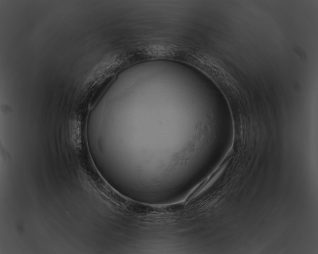 X0000090490696200708031147