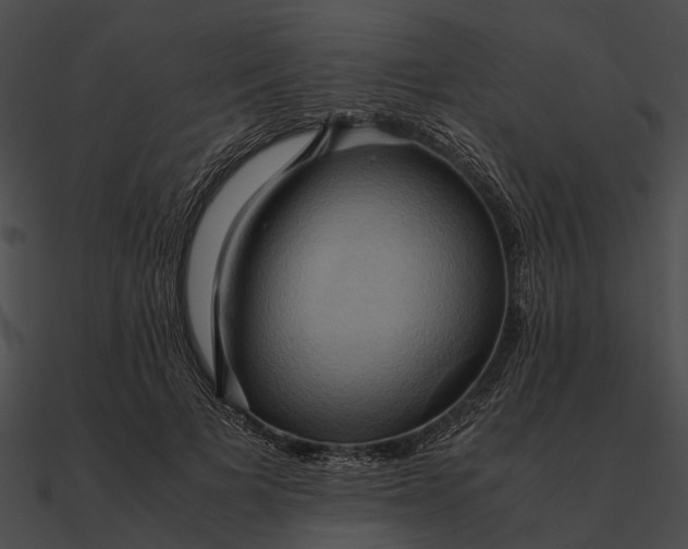 X0000090490697200708031147