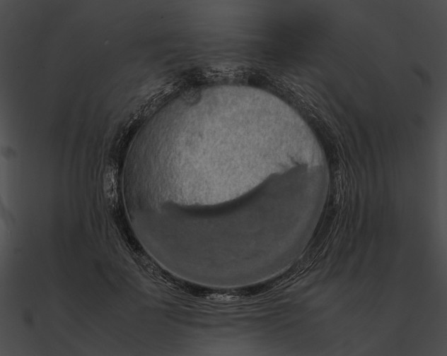 X0000090490699200708031147