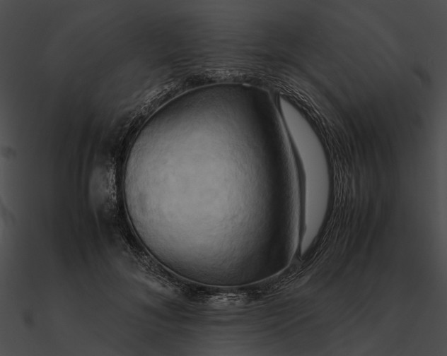 X0000090490700200708031147