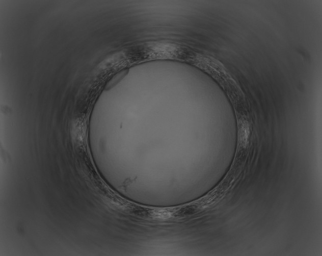 X0000090490701200708031147