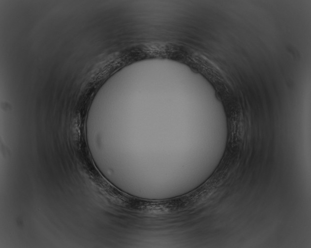 X0000090490702200708031147