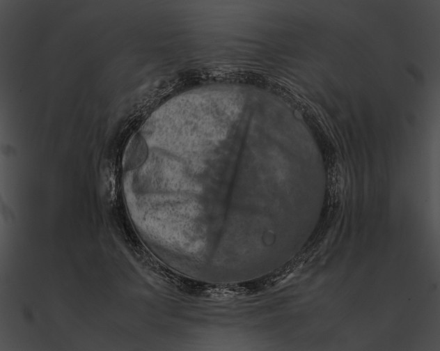 X0000090490703200708031147