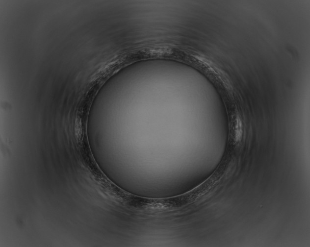 X0000090490704200708031147