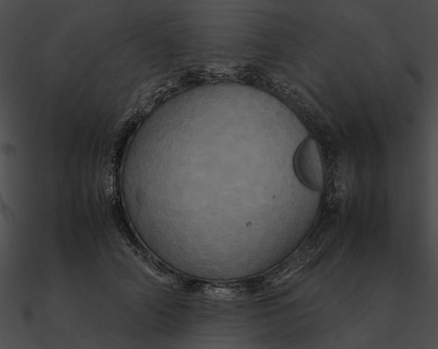 X0000090490706200708031147