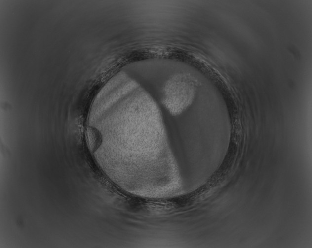 X0000090490707200708031147