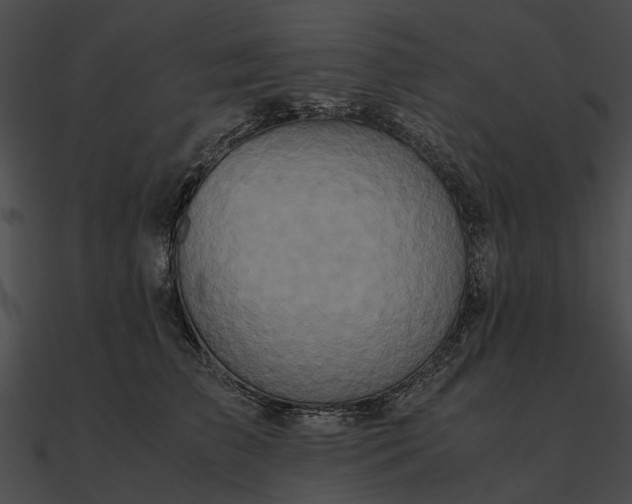 X0000090490709200708031147