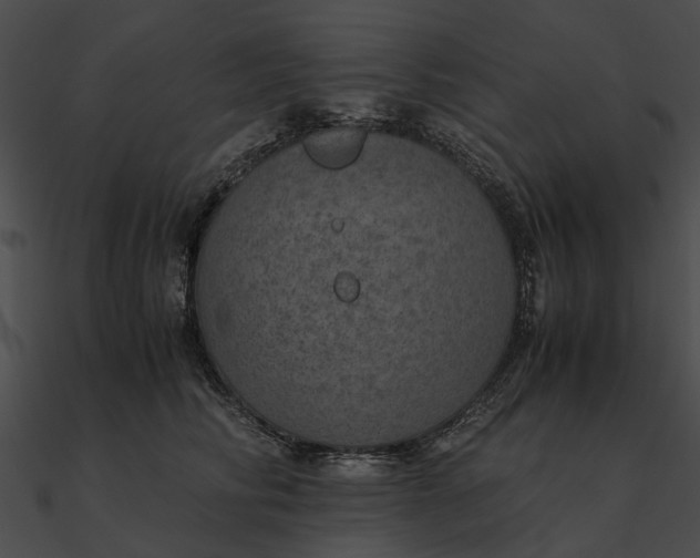 X0000090490710200708031147