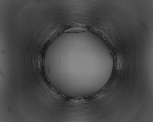 X0000090490712200708031147