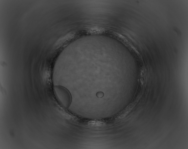 X0000090490714200708031147