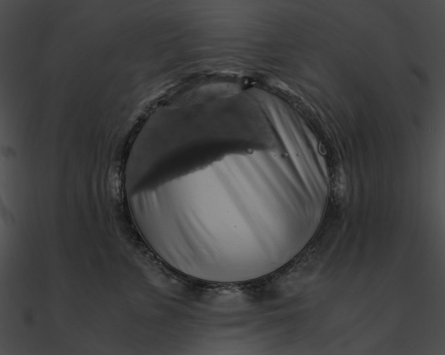 X0000090490715200708031147