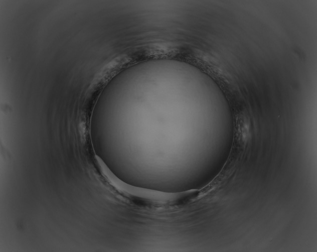 X0000090490716200708031146