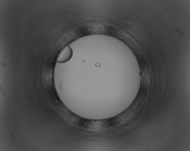 X0000090490717200708031146