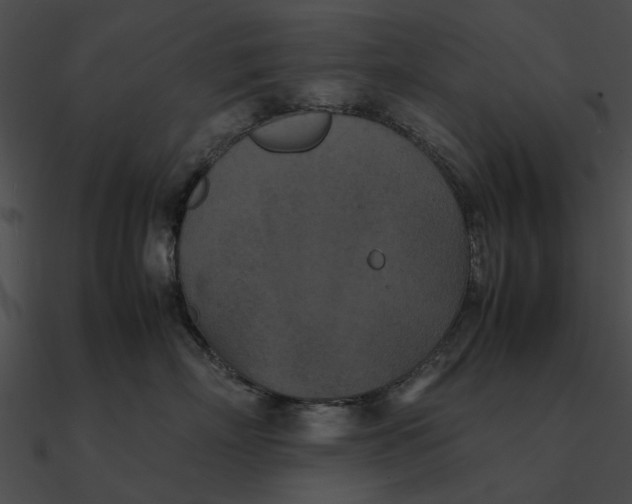 X0000090490718200708031146