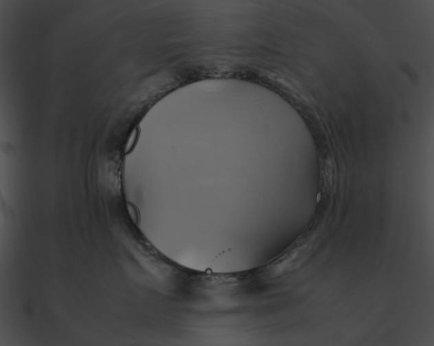 X0000090490719200708031146