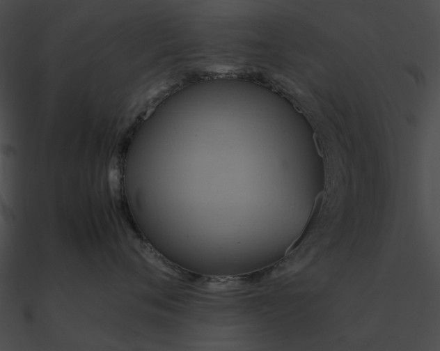 X0000090490720200708031146