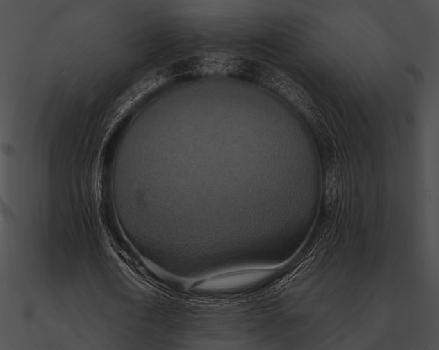 X0000090490722200708031146