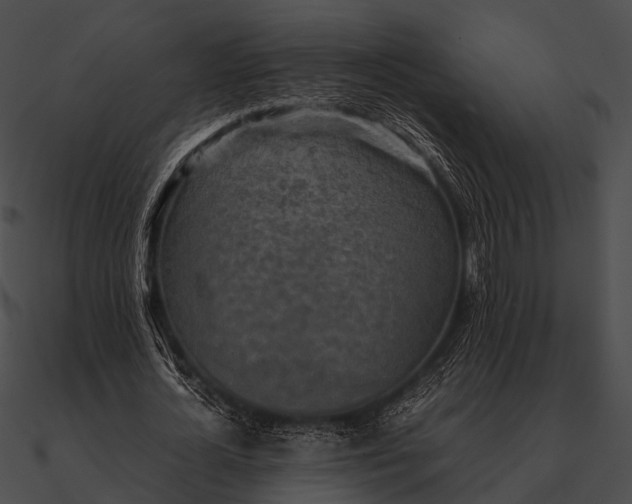 X0000090490724200708031146