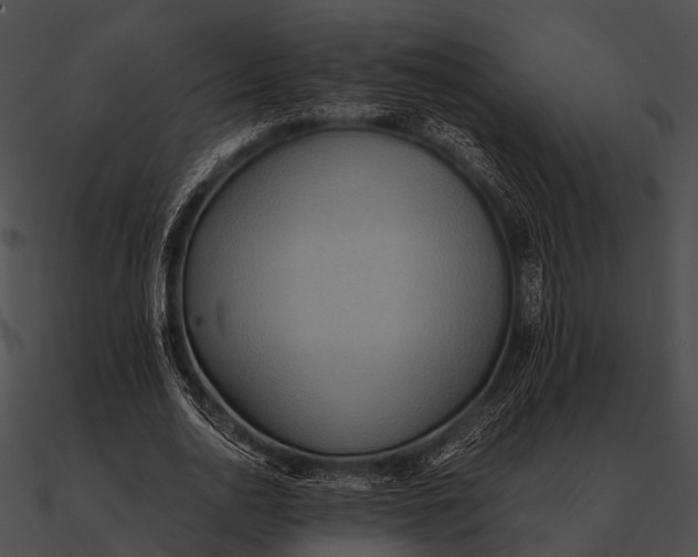 X0000090490726200708031146