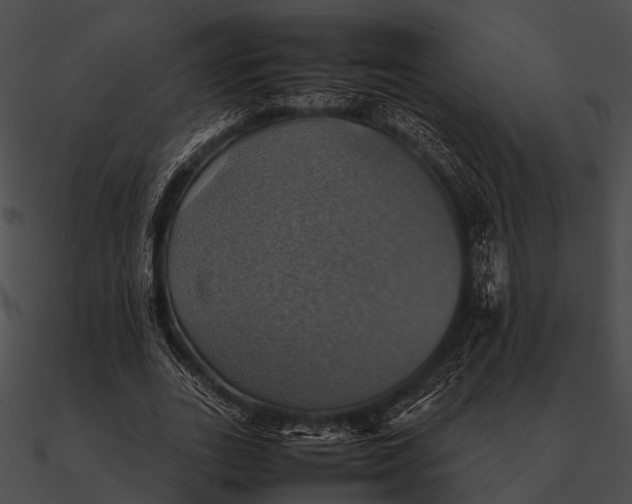 X0000090490727200708031146