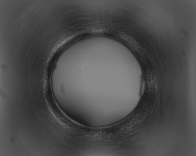 X0000090490728200708031146