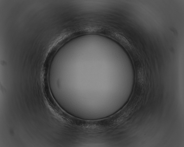 X0000090490730200708031146