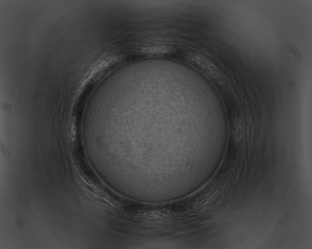 X0000090490731200708031146