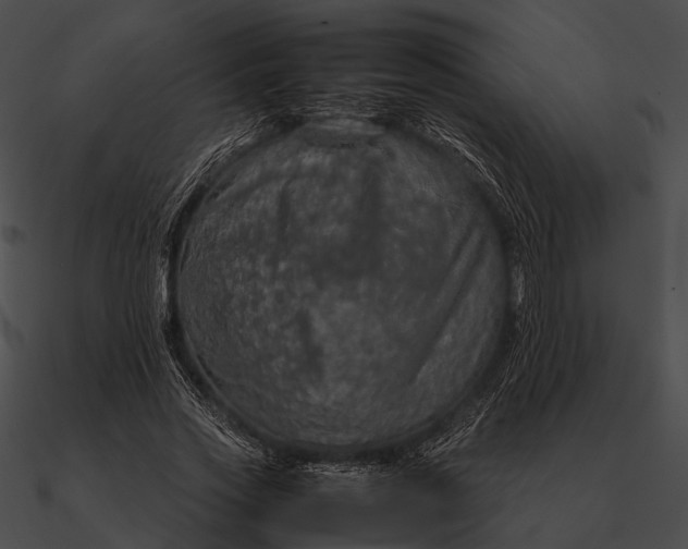 X0000090490733200708031146