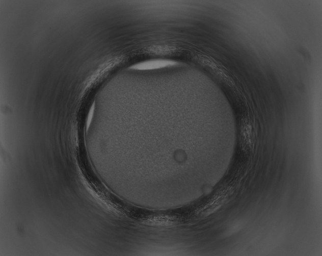 X0000090490734200708031146