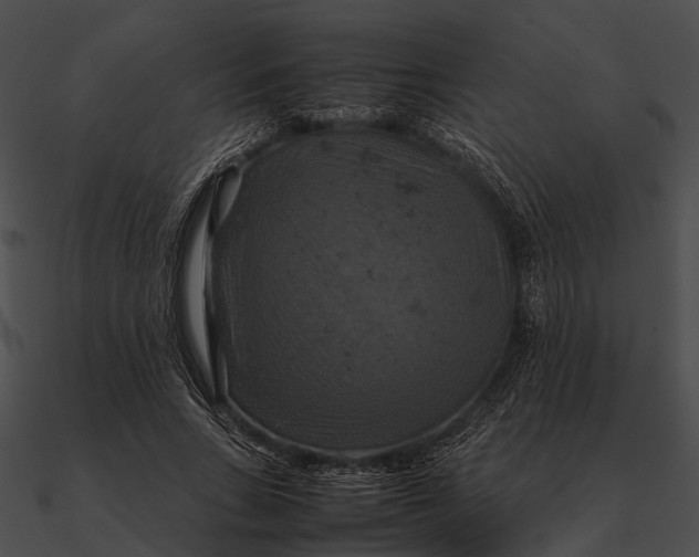 X0000090490735200708031146