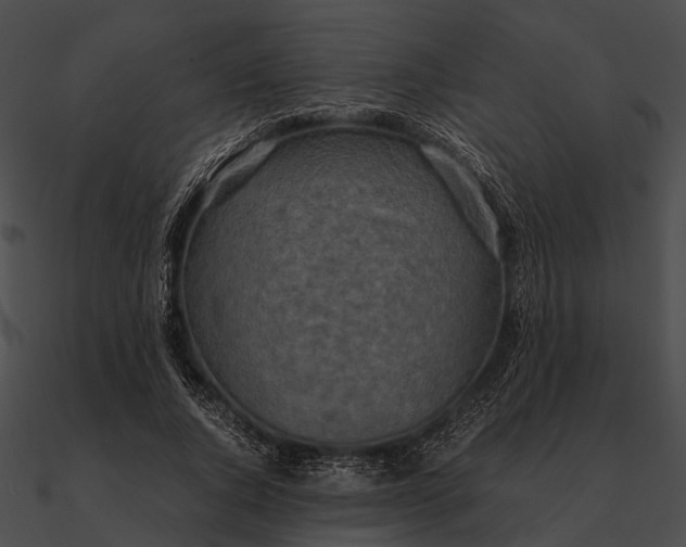 X0000090490736200708031146