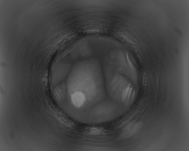 X0000090490737200708031146