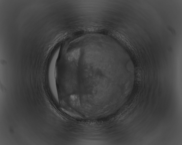 X0000090490738200708031146