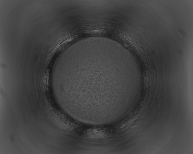 X0000090490739200708031146