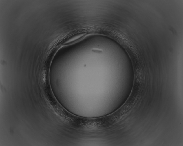 X0000090490740200708031146