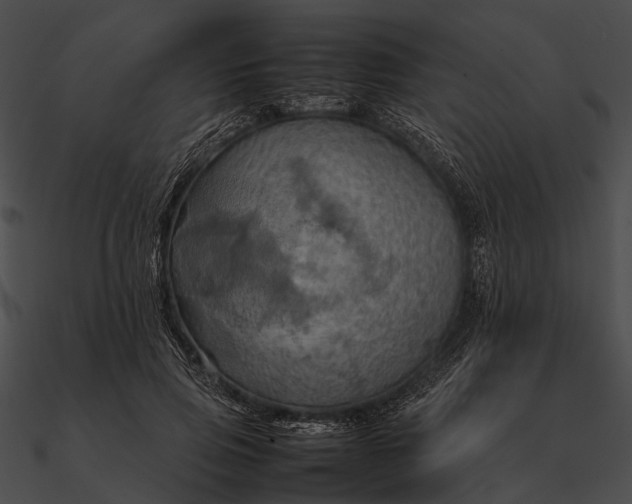 X0000090490741200708031146