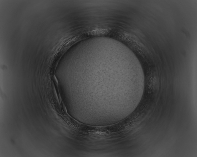 X0000090490743200708031146