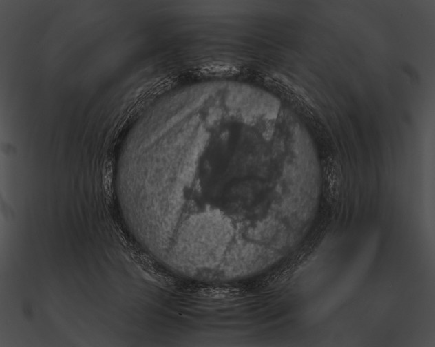 X0000090490745200708031146