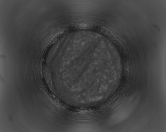 X0000090490746200708031146