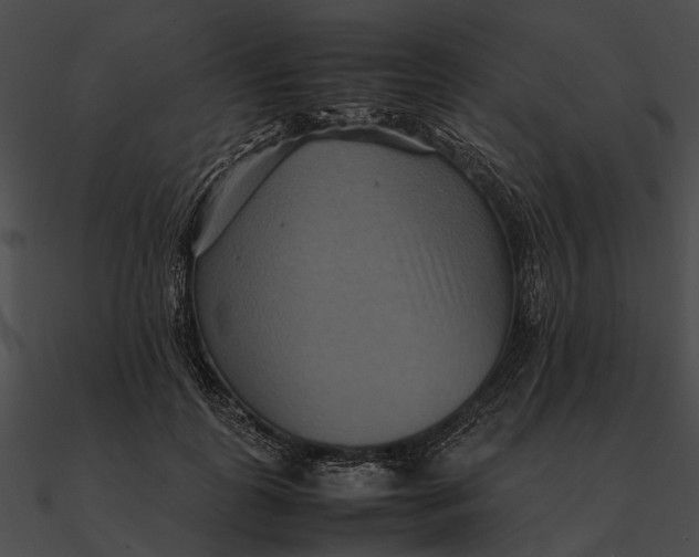 X0000090490747200708031146