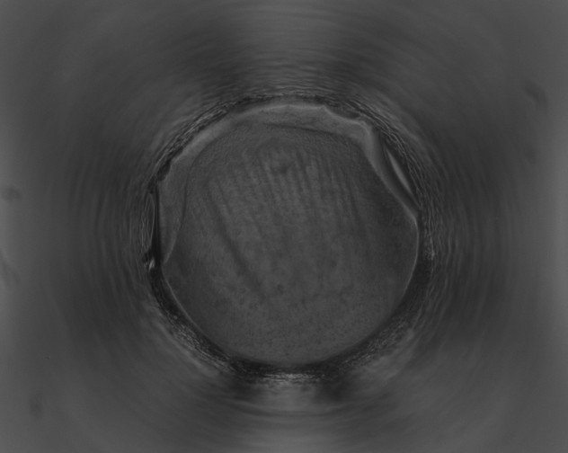 X0000090490748200708031146