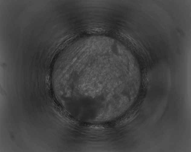 X0000090490749200708031146