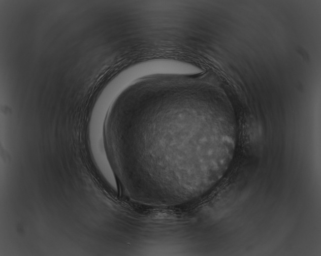 X0000090490750200708031146