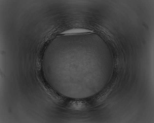 X0000090490751200708031146