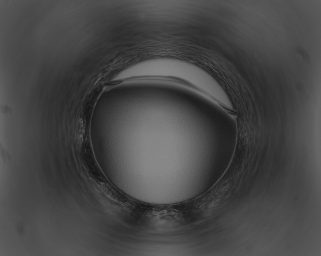 X0000090490752200708031146