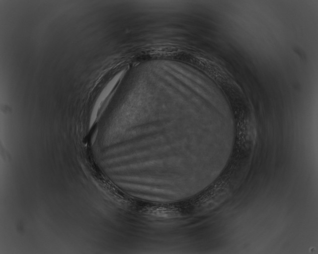 X0000090490755200708031146